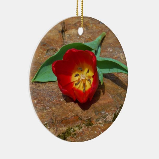 Spring Red Tulip Keramisch Ornament (Rechts)