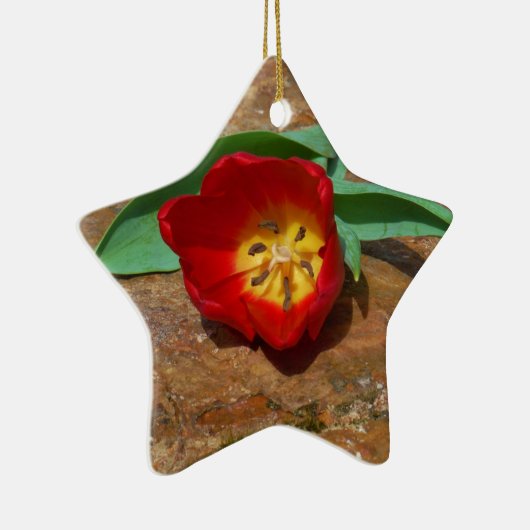 Spring Red Tulip Keramisch Ornament (Rechts)