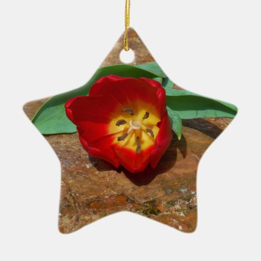 Spring Red Tulip Keramisch Ornament (Voorkant)