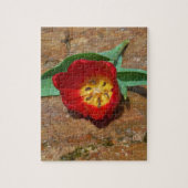 Spring Red Tulip Legpuzzel (Verticaal)