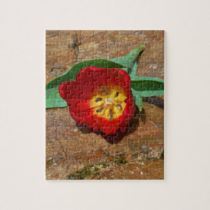 Spring Red Tulip Legpuzzel