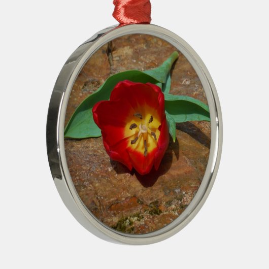 Spring Red Tulip Metalen Ornament (Rechts)