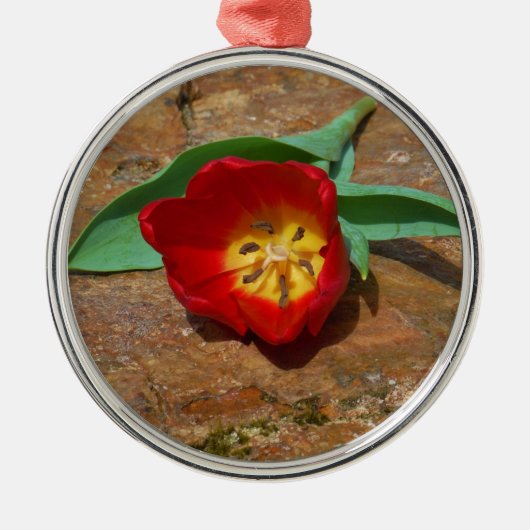 Spring Red Tulip Metalen Ornament (Voorkant)