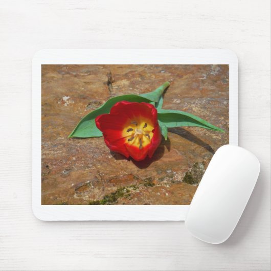 Spring Red Tulip Muismat (Met muis)
