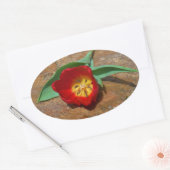 Spring Red Tulip Ovale Sticker (Envelop)