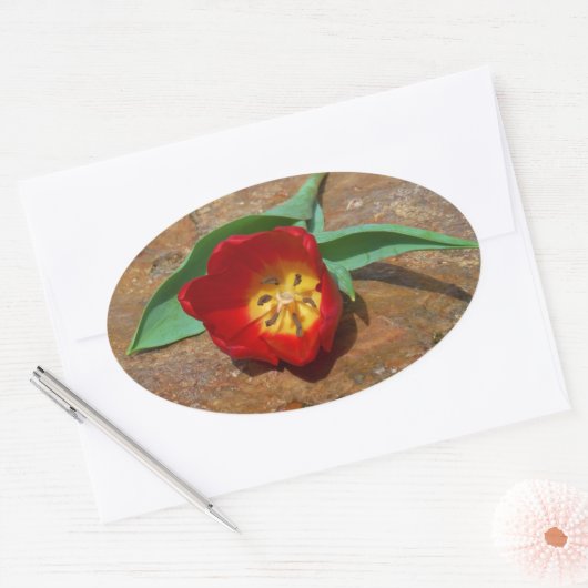 Spring Red Tulip Ovale Sticker (Envelop)