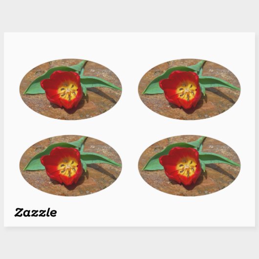 Spring Red Tulip Ovale Sticker (Vel)