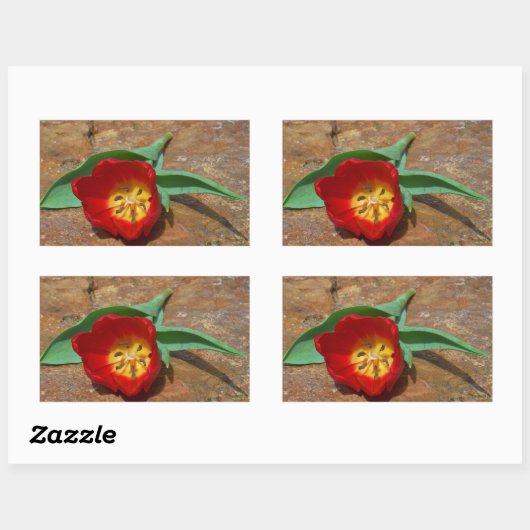 Spring Red Tulip Rechthoekige Sticker (Vel)