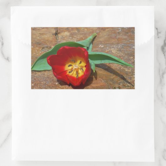 Spring Red Tulip Rechthoekige Sticker (Tas)