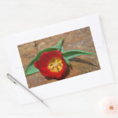 Spring Red Tulip Rechthoekige Sticker (Envelop)