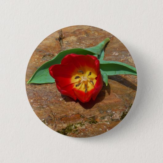 Spring Red Tulip Ronde Button 5,7 Cm (Voorkant)