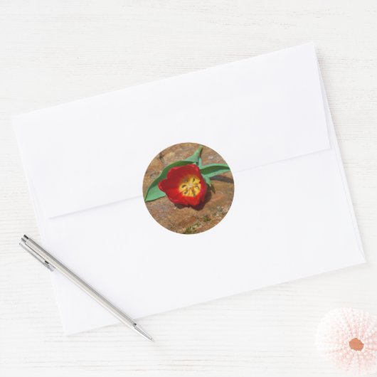 Spring Red Tulip Ronde Sticker (Envelop)