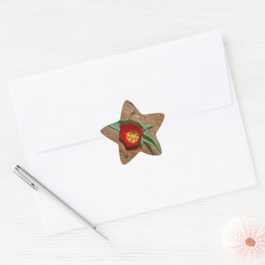 Spring Red Tulip Ster Sticker (Envelop)