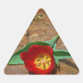 Spring Red Tulip Sticker (Voorkant)