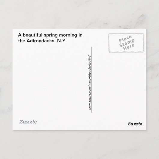 Spring Reflections in the Adirondacks, N.Y. Briefkaart (Achterkant)
