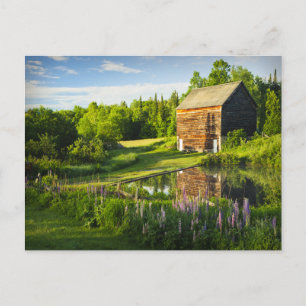 Spring Reflections in the Adirondacks, N.Y. Briefkaart