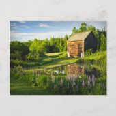 Spring Reflections in the Adirondacks, N.Y. Briefkaart (Voorkant)