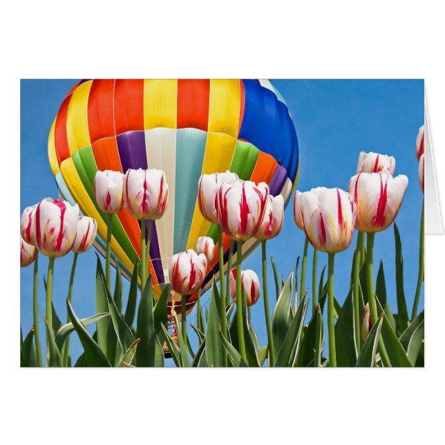 Spring Ride (Voorkant Horizontaal)