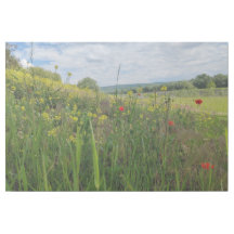 Spring riverside fotografie