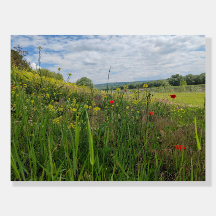 Spring riverside fotografie