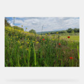 Spring riverside fotografie acryl bord (Voorkant)