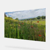 Spring riverside fotografie acryl bord (Hoek)