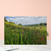 Spring riverside fotografie acryl bord (Huwelijk)