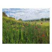 Spring riverside fotografie foto afdruk (Voorkant)