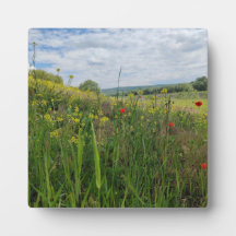 Spring riverside fotografie