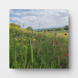 Spring riverside fotografie fotoplaat