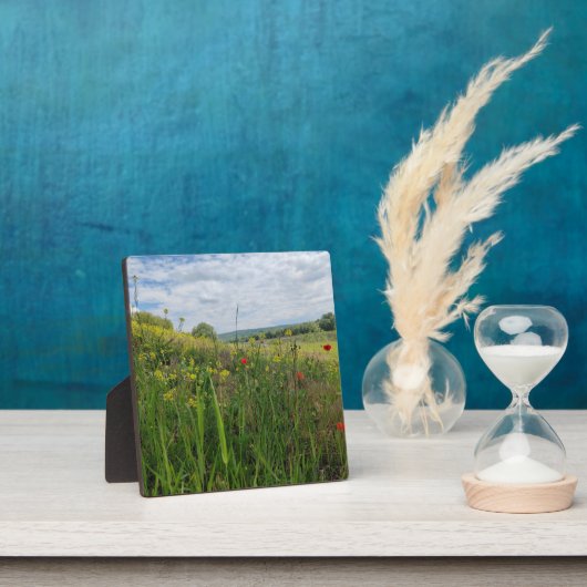 Spring riverside fotografie fotoplaat (Insitu)