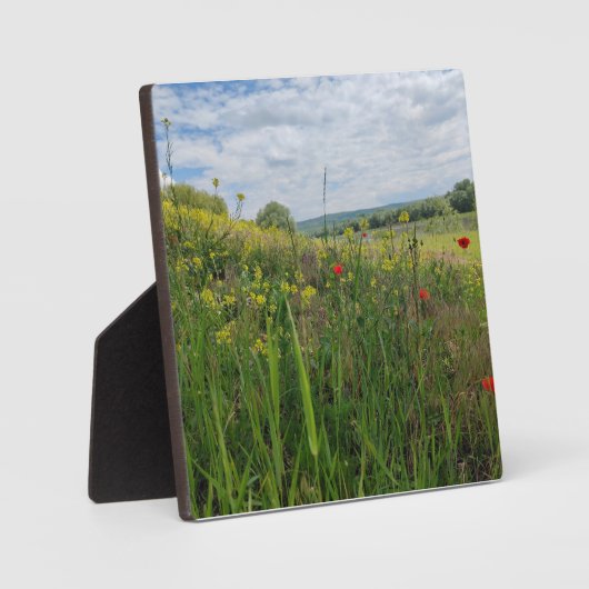 Spring riverside fotografie fotoplaat (Voorkant)