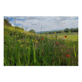 Spring riverside fotografie perfect poster (Voorkant)