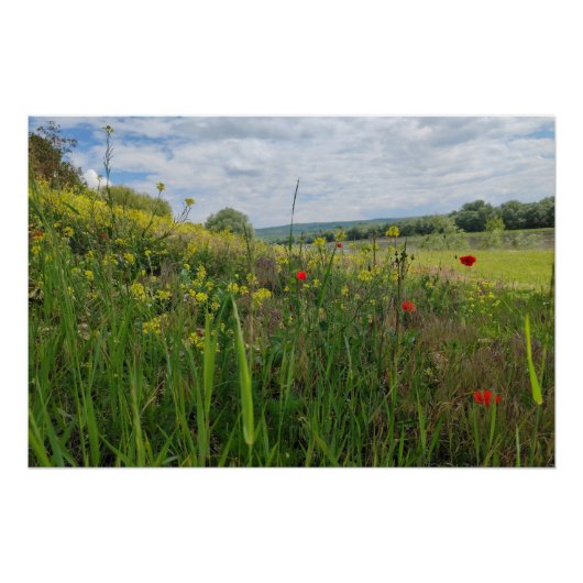 Spring riverside fotografie perfect poster (Voorkant)