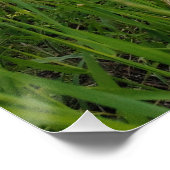 Spring riverside fotografie perfect poster (Hoek)