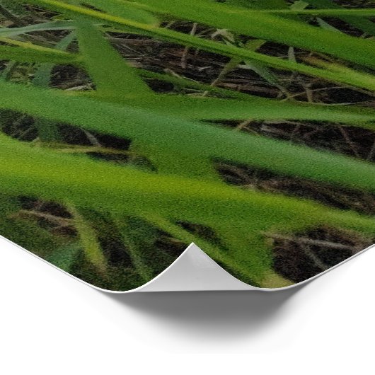 Spring riverside fotografie poster (Hoek)