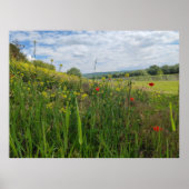 Spring riverside fotografie poster (Voorkant)