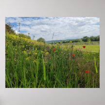 Spring riverside fotografie