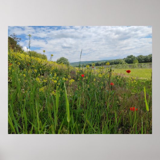 Spring riverside fotografie poster (Voorkant)