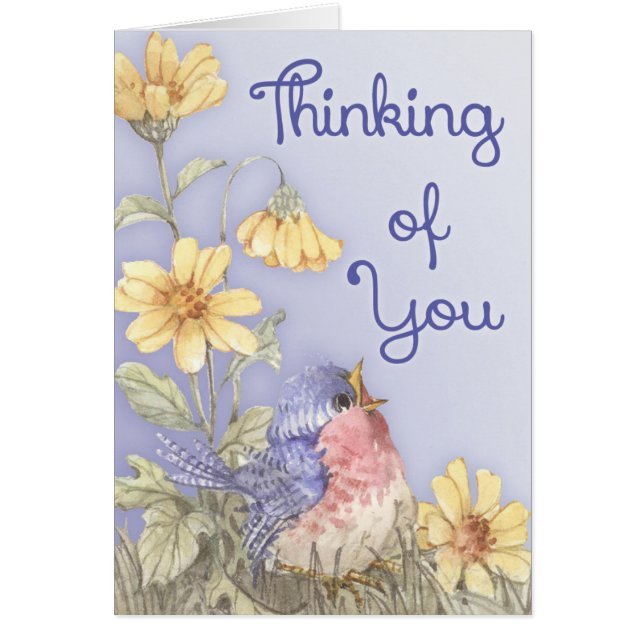 Spring Robin (Voorkant)