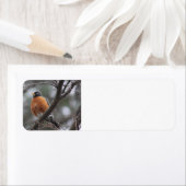 Spring Robin adresetiketten Etiket (Insitu)