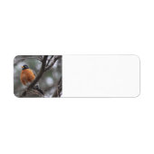 Spring Robin adresetiketten Etiket (Voorkant)