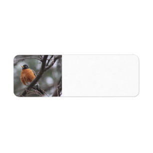 Spring Robin adresetiketten Etiket