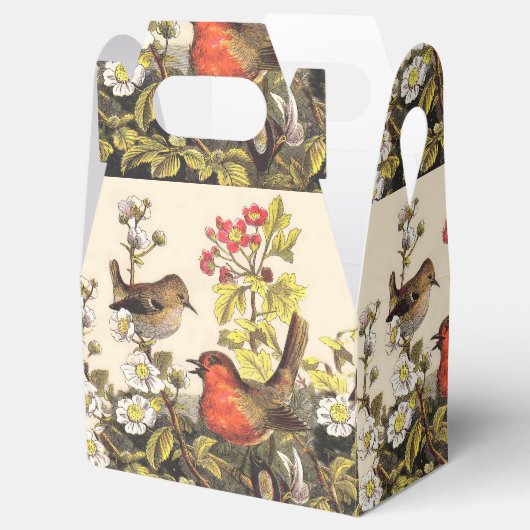 Spring Robin Birds Red Birding Bedankdoosjes (Geopend)