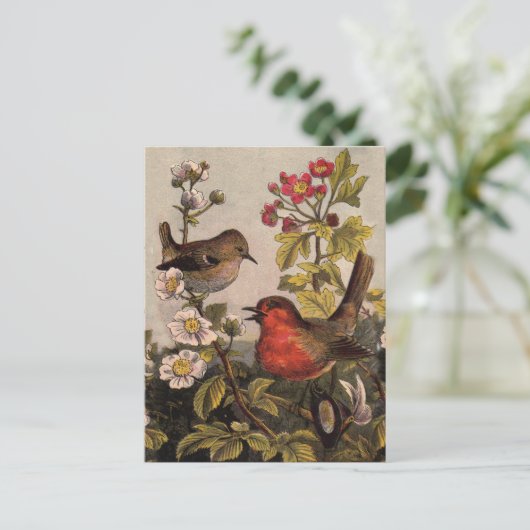 Spring Robin Birds Red Birding Briefkaart (Staand voorkant)