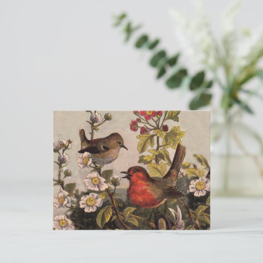 Spring Robin Birds Red Birding Briefkaart (Staand voorkant)