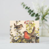 Spring Robin Birds Red Birding Briefkaart (Staand voorkant)