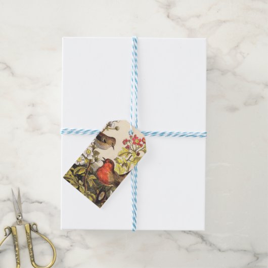 Spring Robin Birds Red Birding Cadeaulabel (Met Touw)