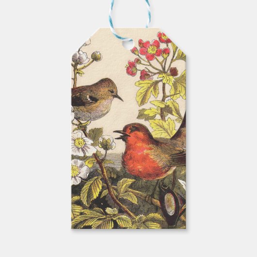 Spring Robin Birds Red Birding Cadeaulabel (Voorkant)