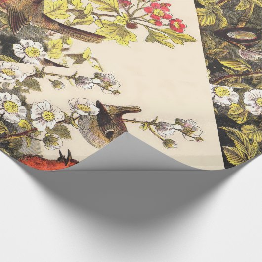 Spring Robin Birds Red Birding Cadeaupapier (Hoek)